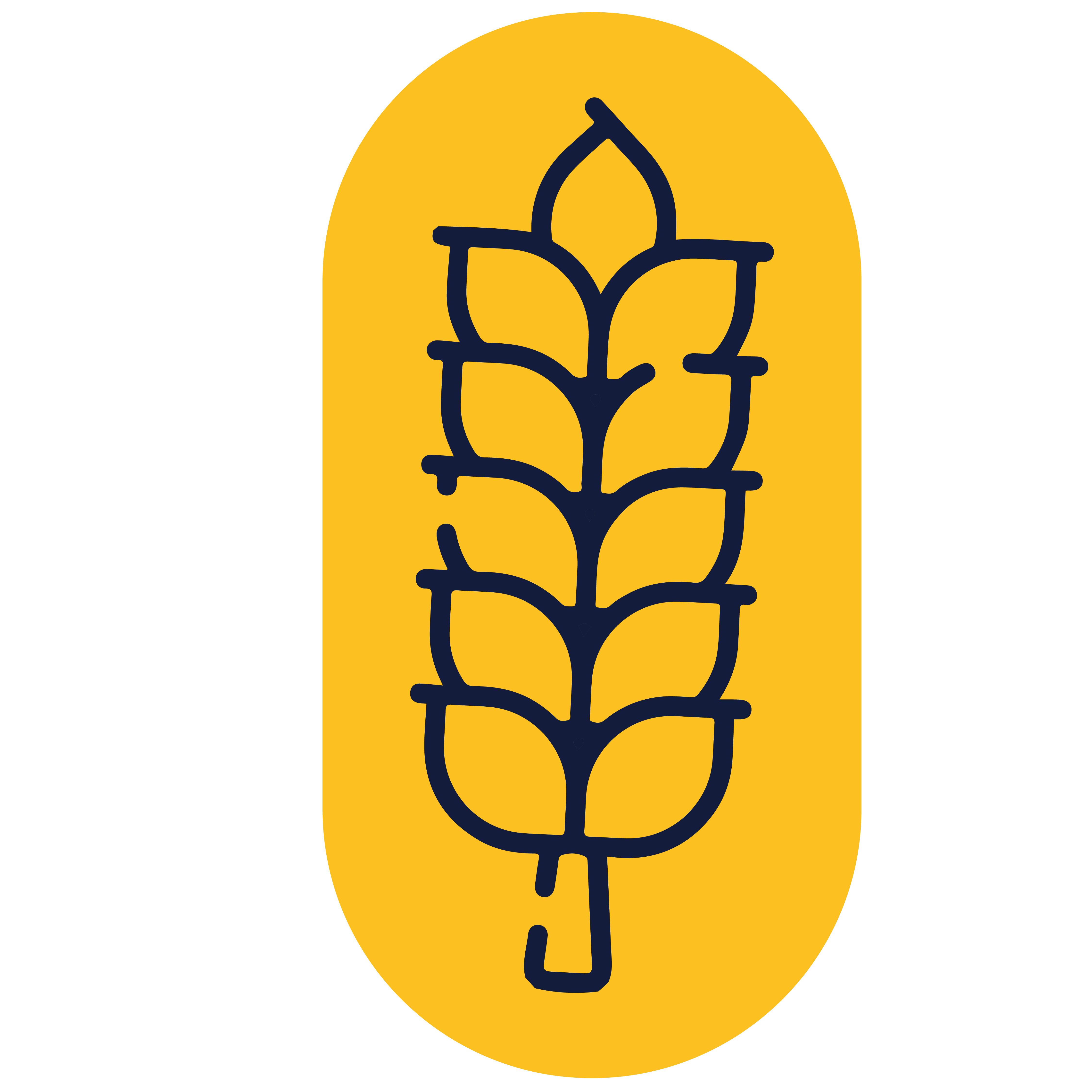 محصولات بدون گلوتن